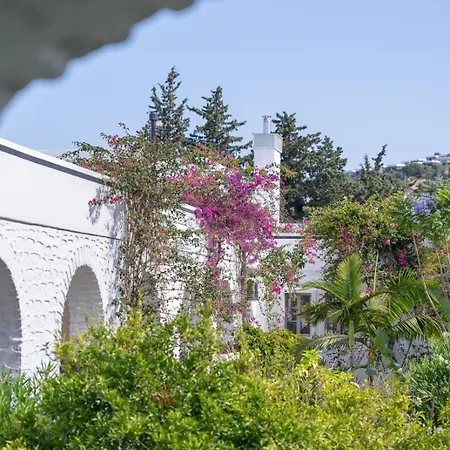 Karia Princess בודרום