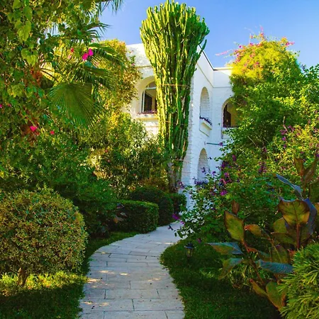 Karia Princess מלון 4*