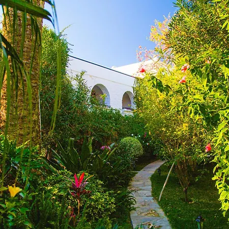 Karia Princess בודרום