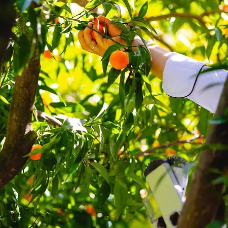 Karia Princess Hotel 4*