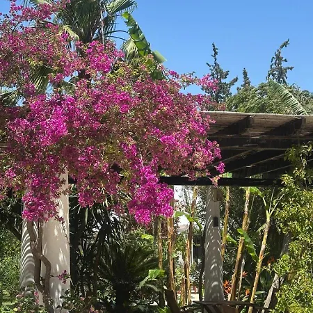 Karia Princess בודרום