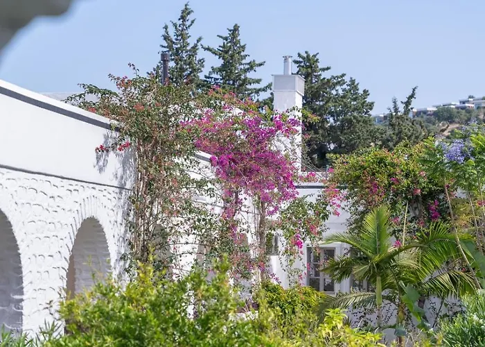 카리아 프린세스 Bodrum